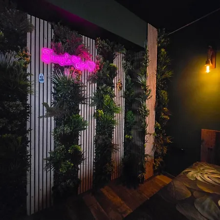 Jungle - Sauna & Balneo Apartment