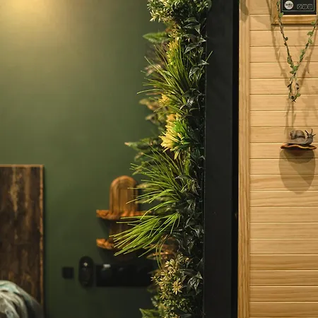 Jungle - Sauna & Balneo * Château-Thierry